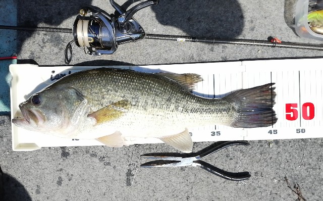 f:id:isybuss:20210418124216j:image