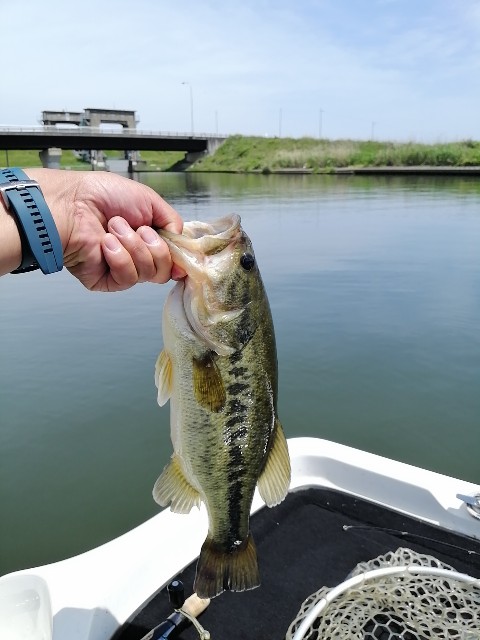 f:id:isybuss:20210508120011j:image