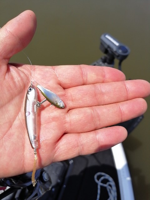 f:id:isybuss:20210508175757j:image