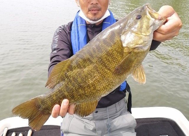 猪苗代湖 21 5 釣果1本 47cm N氏46cm No 042 リチウム電池54回目 Isybussバス釣り 日記 琵琶湖でfire生活