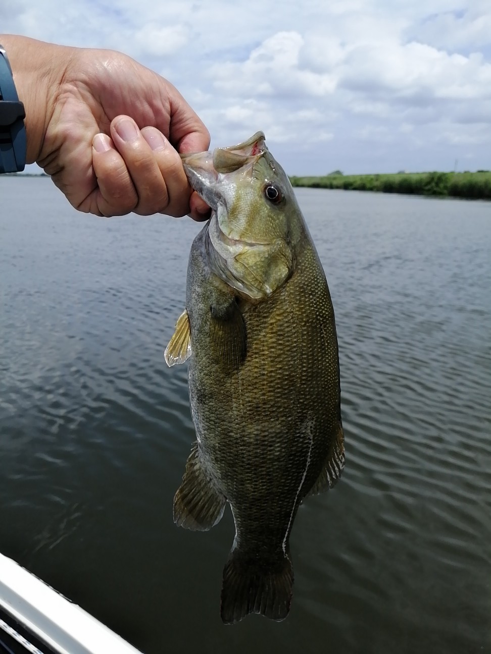 f:id:isybuss:20210612122238j:image