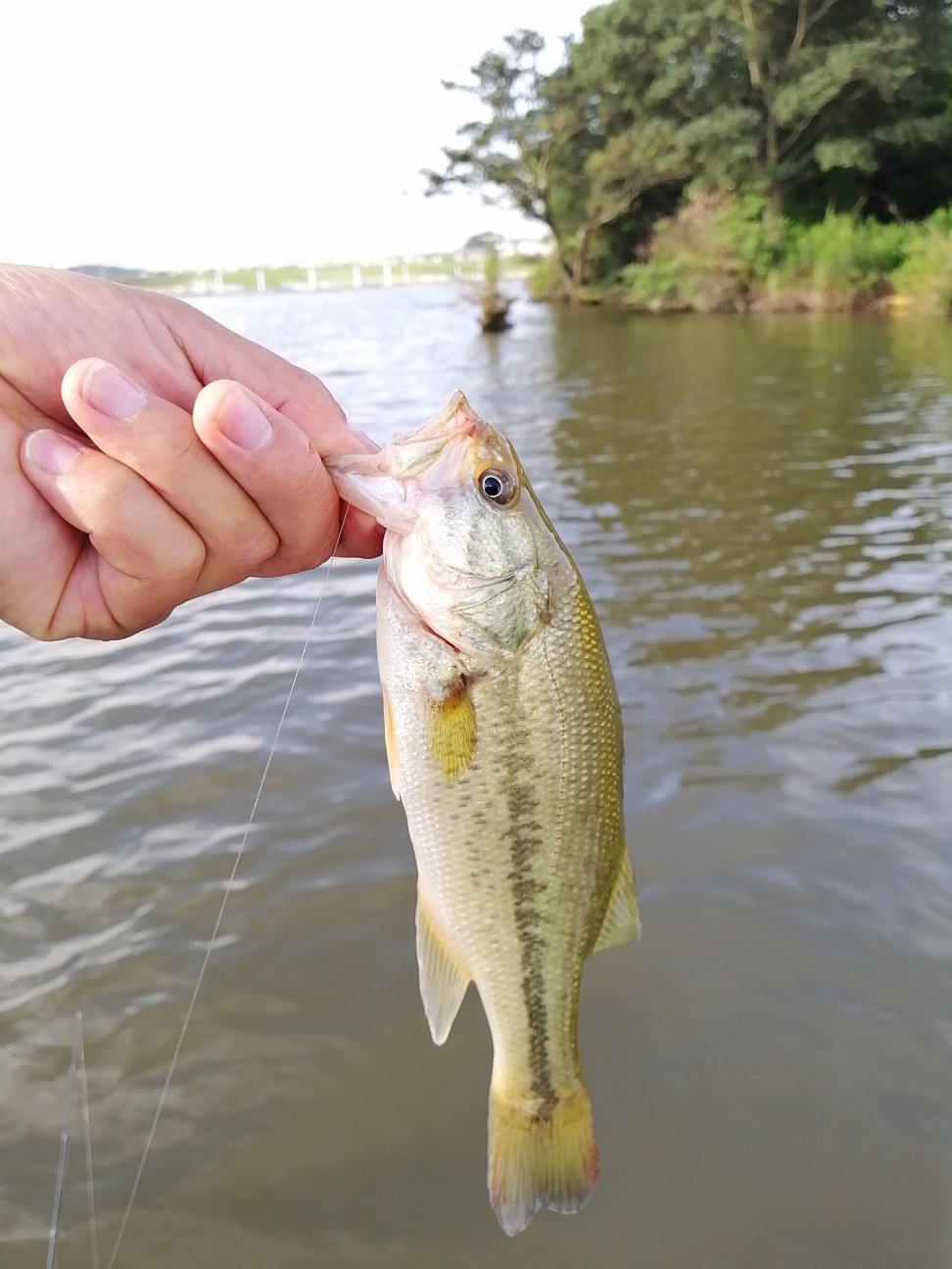 f:id:isybuss:20210612122348j:image