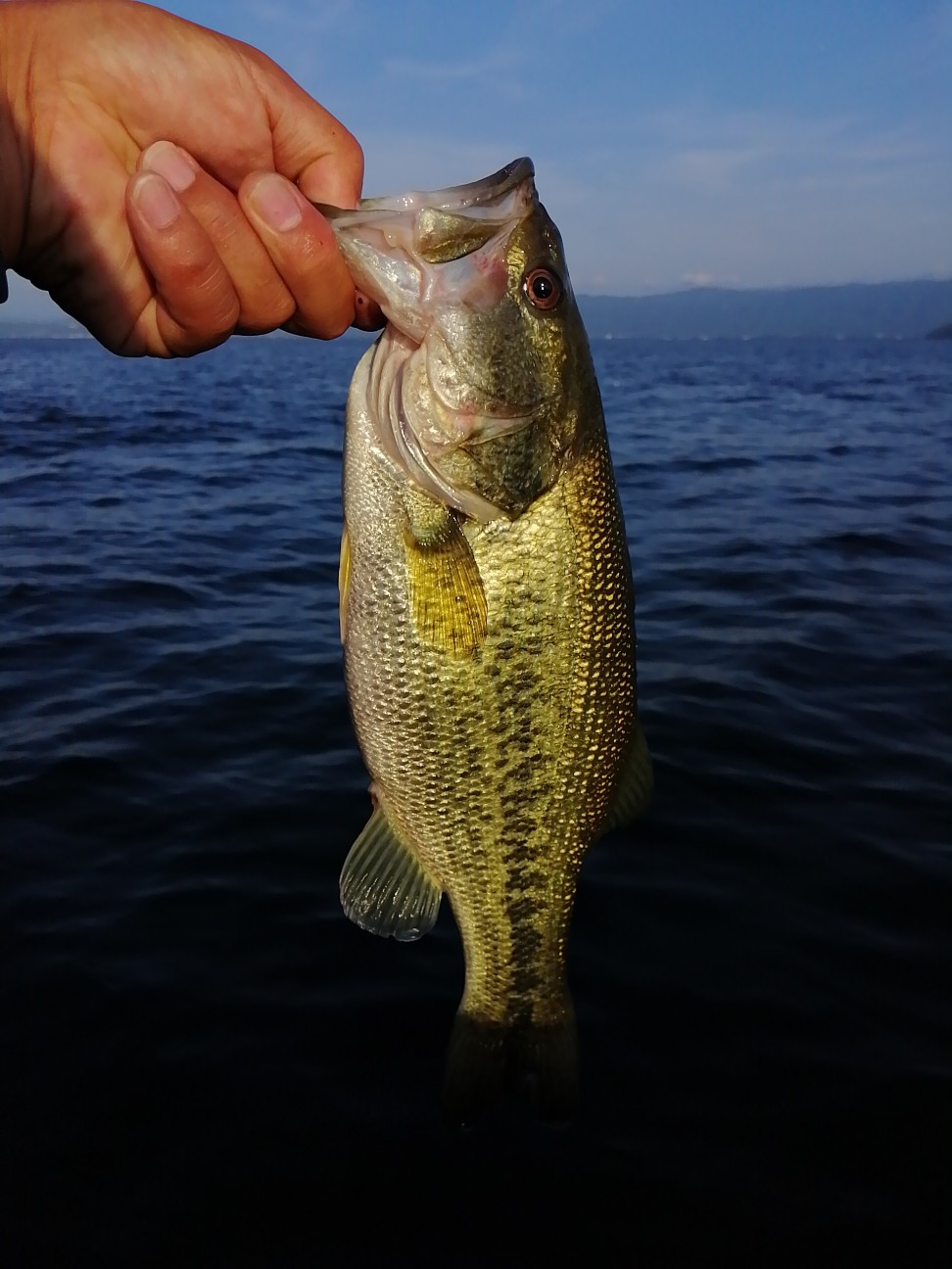 f:id:isybuss:20210722193314j:image