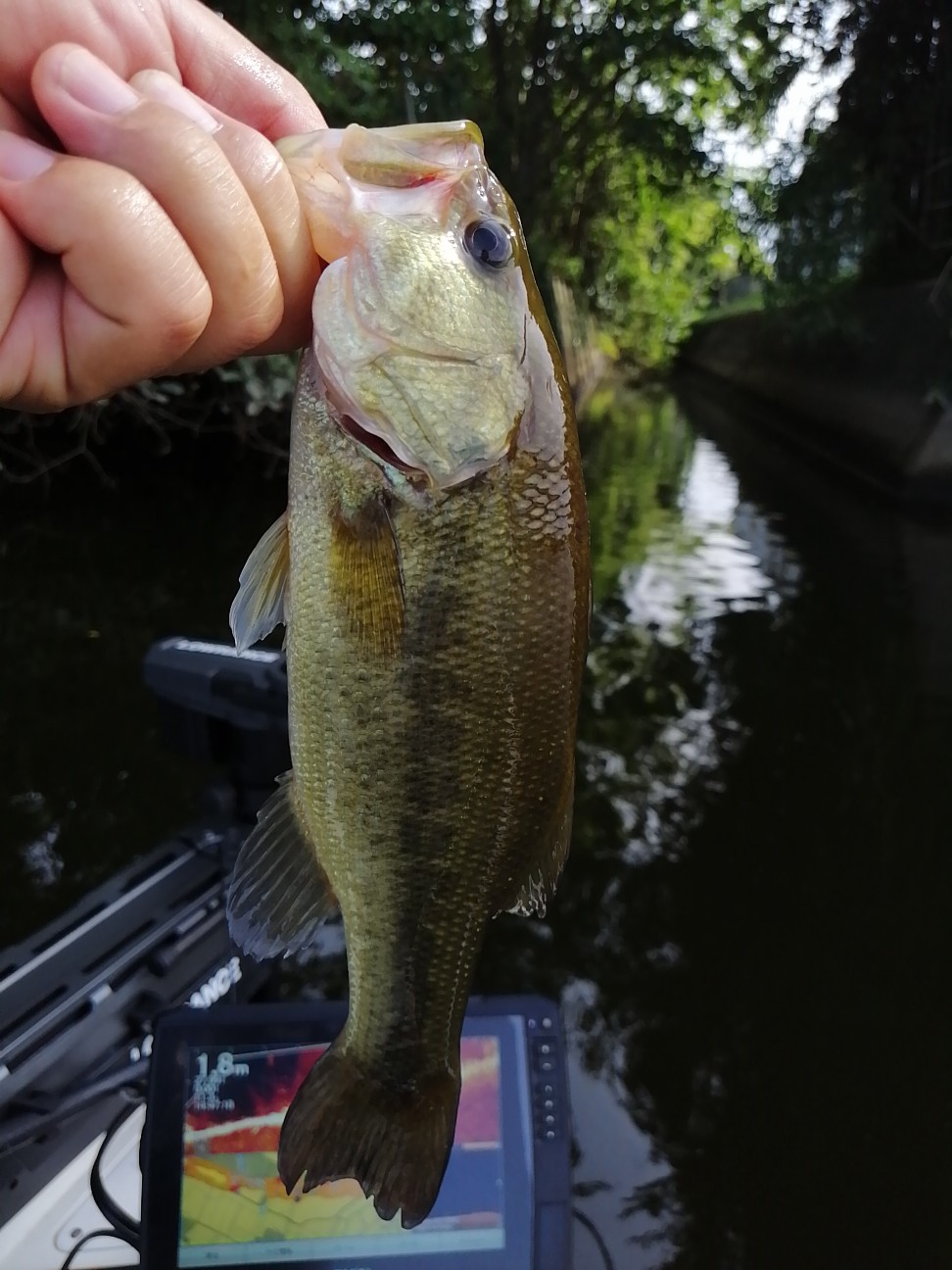 f:id:isybuss:20210822163228j:image