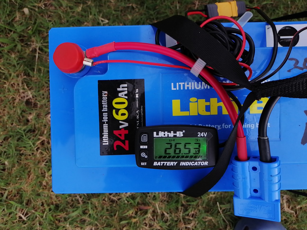 f:id:isybuss:20210822163358j:image