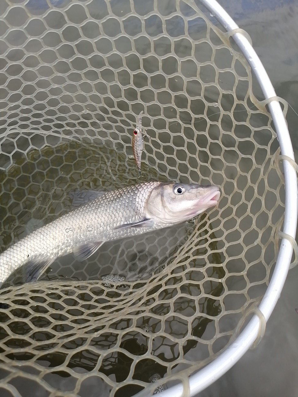 f:id:isybuss:20211007165821j:image