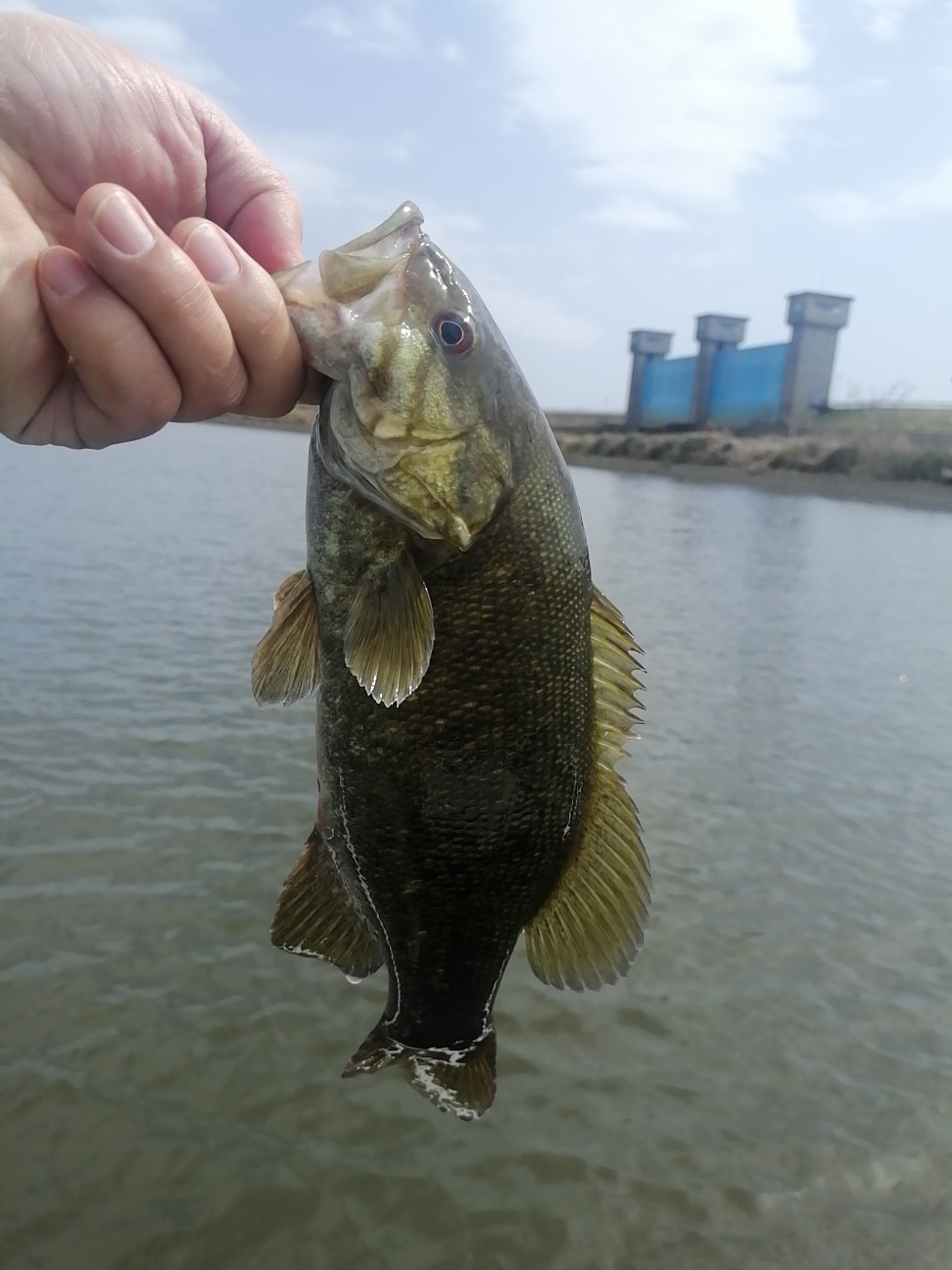 f:id:isybuss:20220316143639j:image