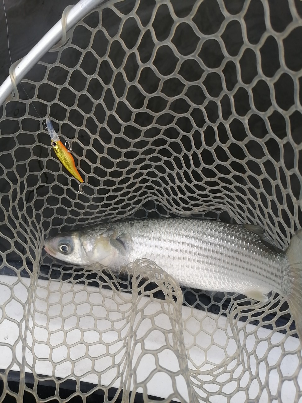 f:id:isybuss:20220316143714j:image