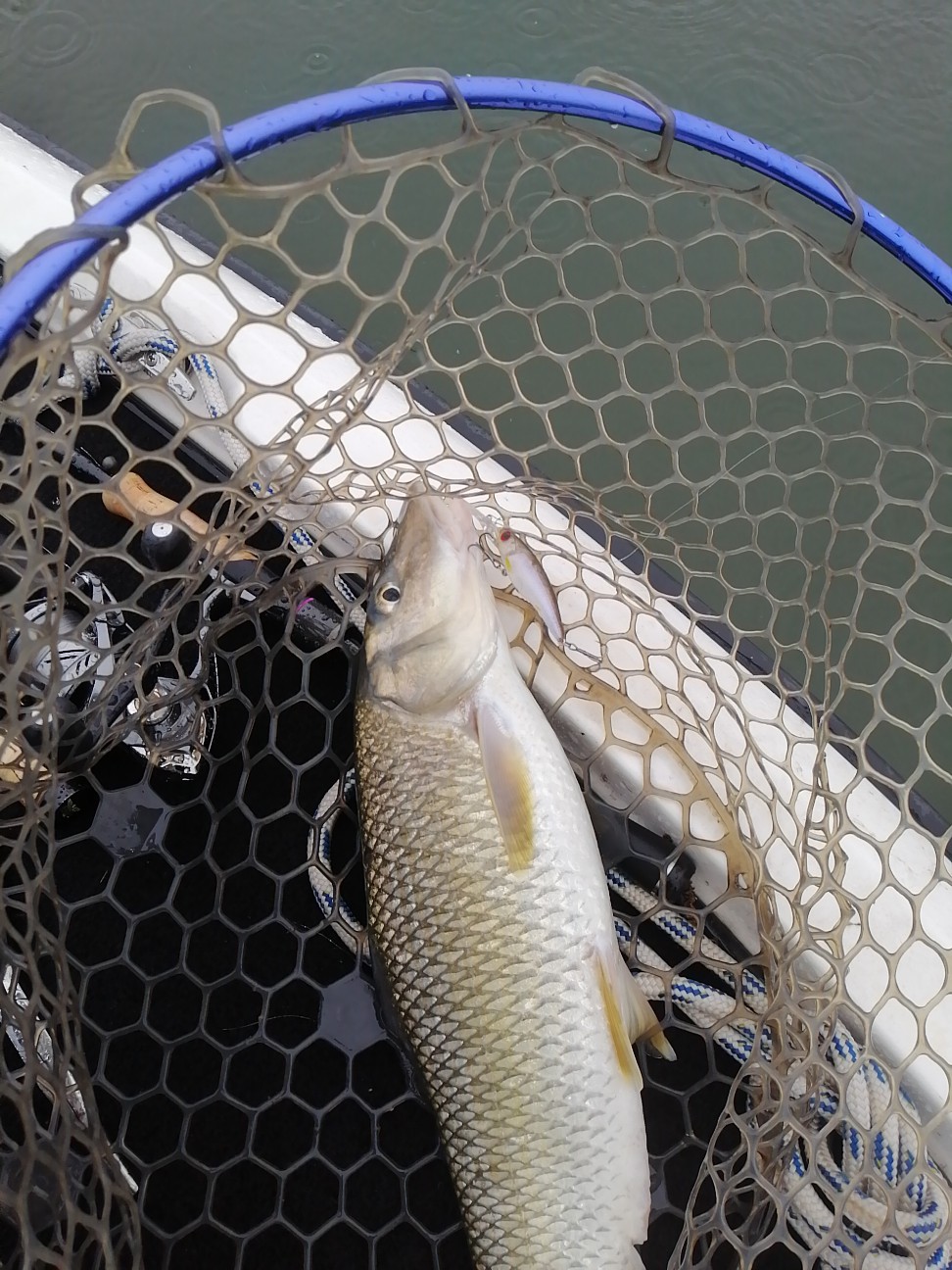 f:id:isybuss:20220424163245j:image