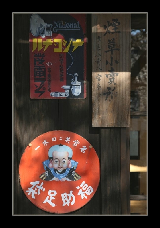 イメージ 6