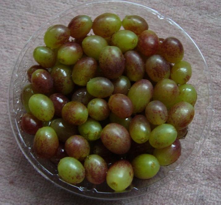 f:id:it_fx:20120523174457j:image:w640