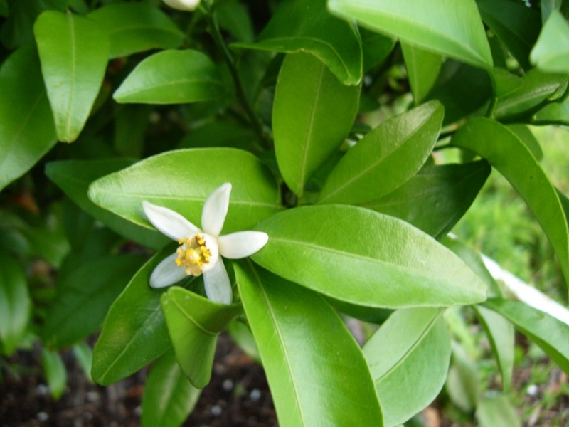 f:id:it_fx:20120523180526j:image:w640