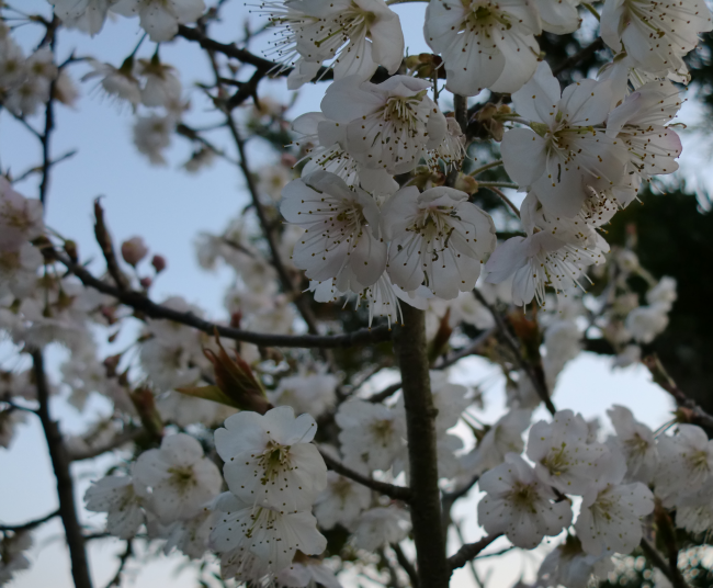 f:id:it_fx:20140319182310p:image