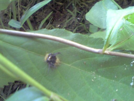 f:id:ita:20100718114300j:image
