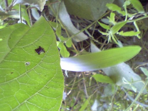 f:id:ita:20100718130300j:image