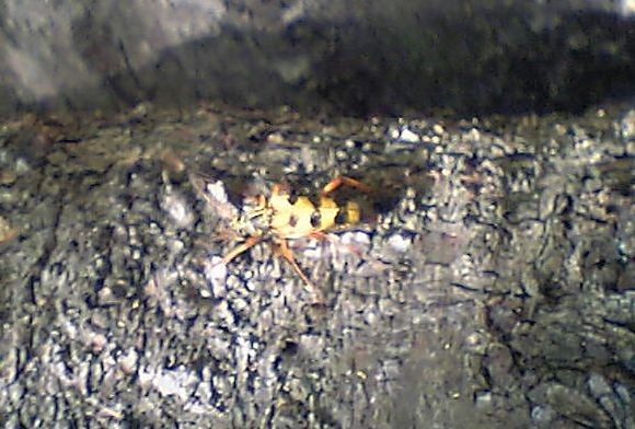 f:id:ita:20100718132200j:image