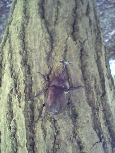 f:id:ita:20100718135300j:image