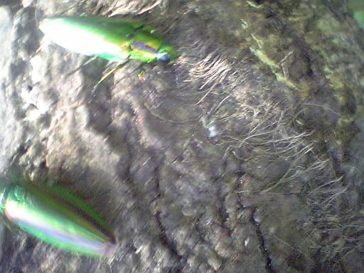 f:id:ita:20100718143300j:image