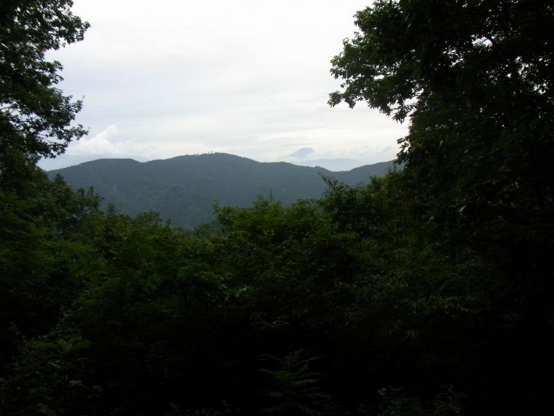 f:id:ita:20100808124951j:image:w300