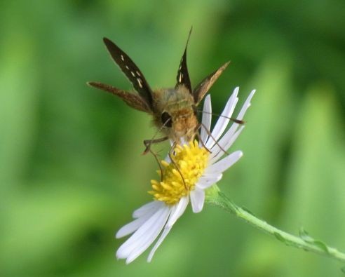 f:id:ita:20100831135011j:image f:id:ita:20100831135011j:image