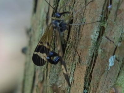 f:id:ita:20110508105813j:image