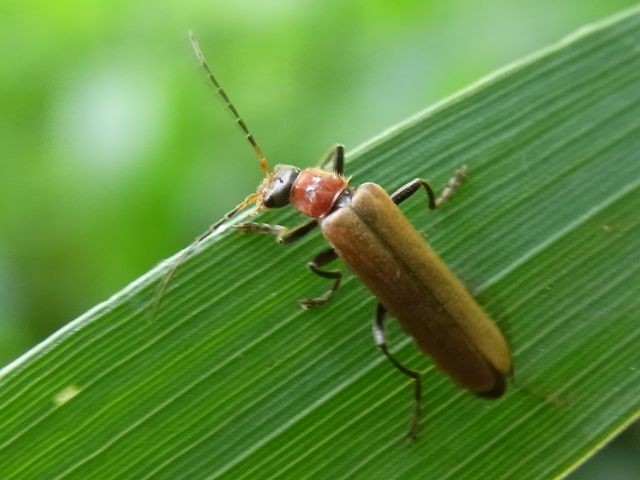 f:id:ita:20110508121857j:image