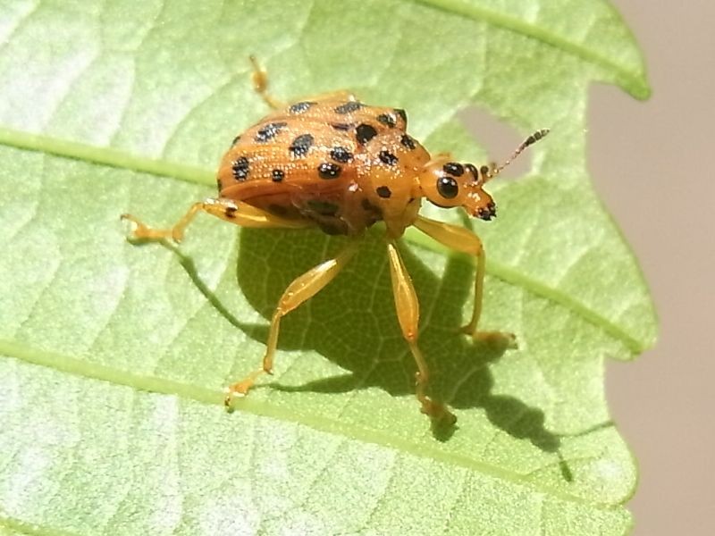 f:id:ita:20110515115245j:image:w300 f:id:ita:20110515115245j:image:w300
