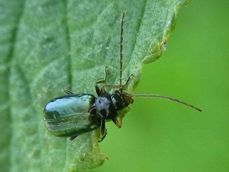 木下沢その２ Ita S Diary