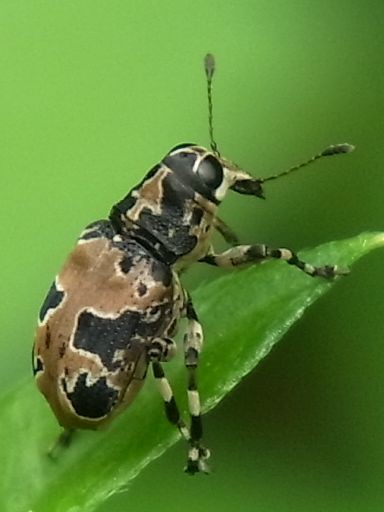 f:id:ita:20110518125818j:image