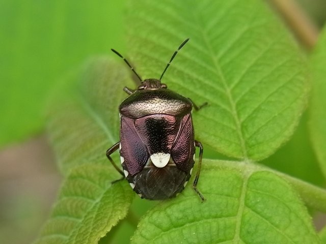f:id:ita:20110518135814j:image