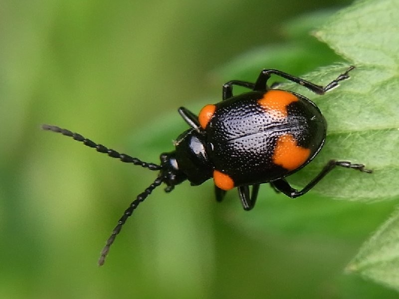 f:id:ita:20110518140712j:image