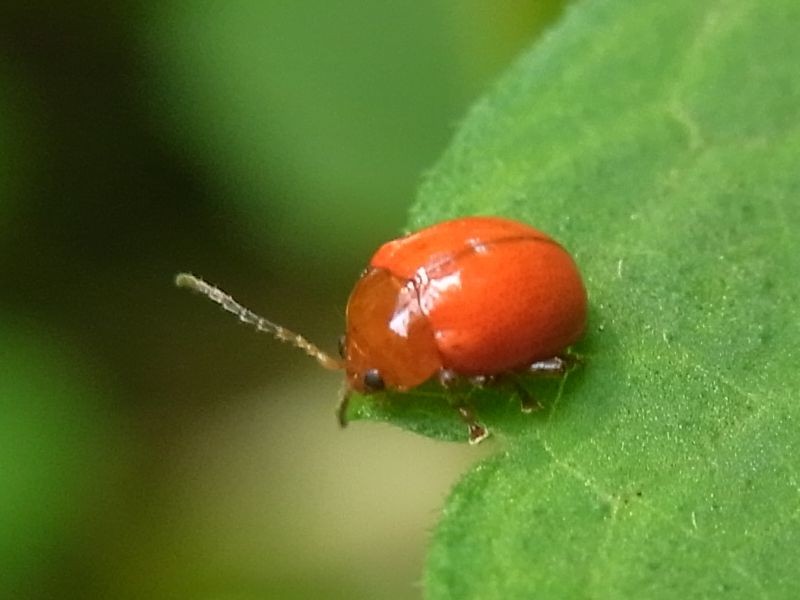 f:id:ita:20110604144128j:image