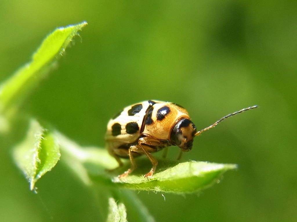 f:id:ita:20110723094632j:image:w640