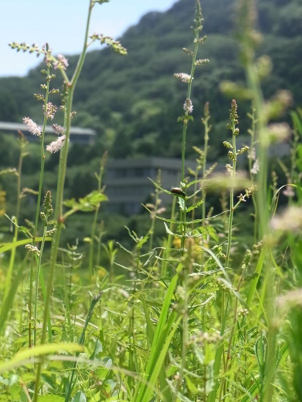 f:id:ita:20110723113334j:image:w640