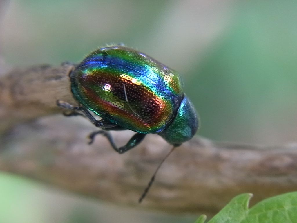 f:id:ita:20110723152938j:image:w640