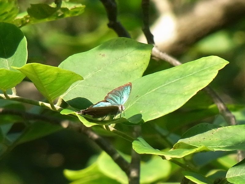 f:id:ita:20110723174008j:image:w640