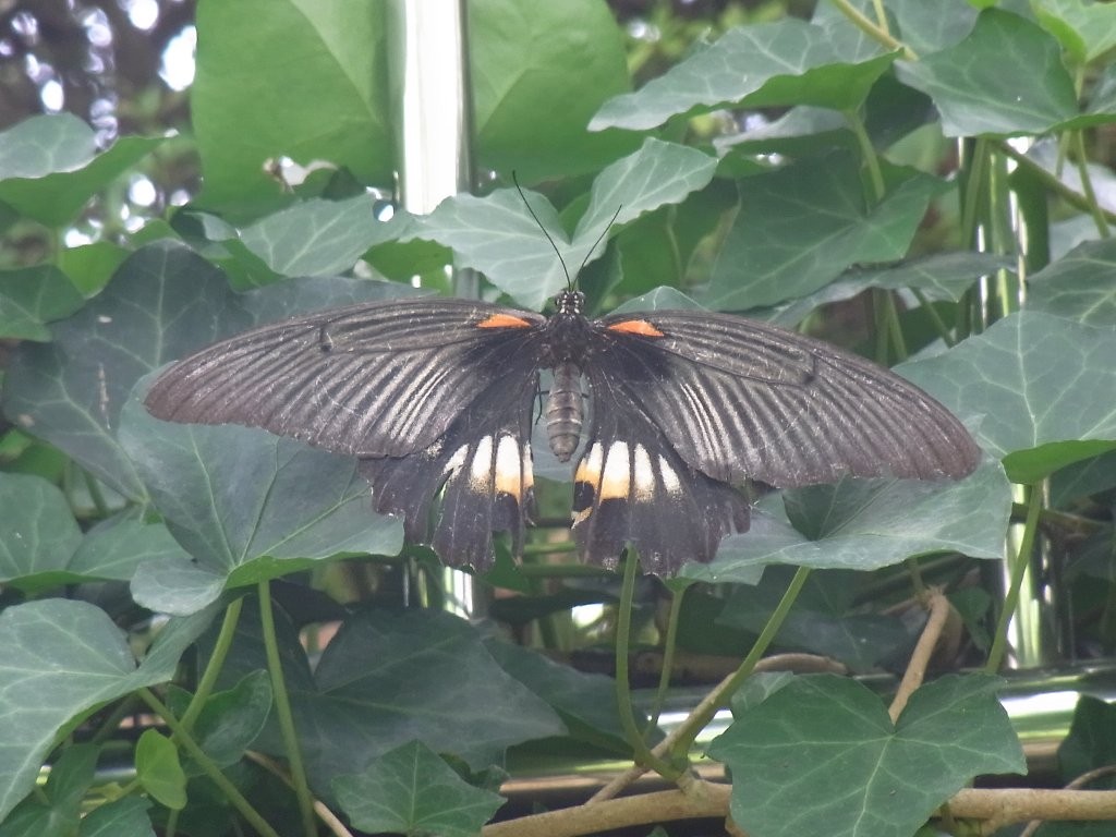 f:id:ita:20110808130154j:image:w512