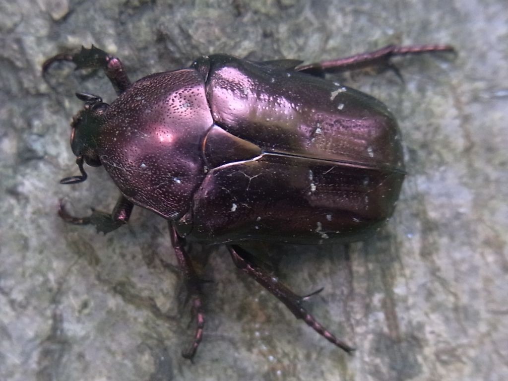f:id:ita:20110811114246j:image:w512