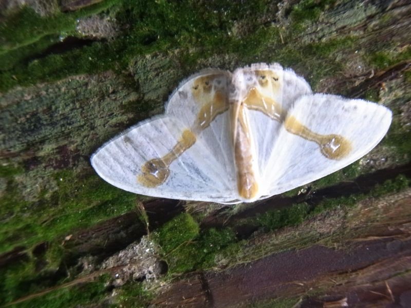 f:id:ita:20110811144407j:image:w512