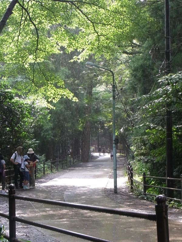 f:id:ita:20110811144533j:image:w512