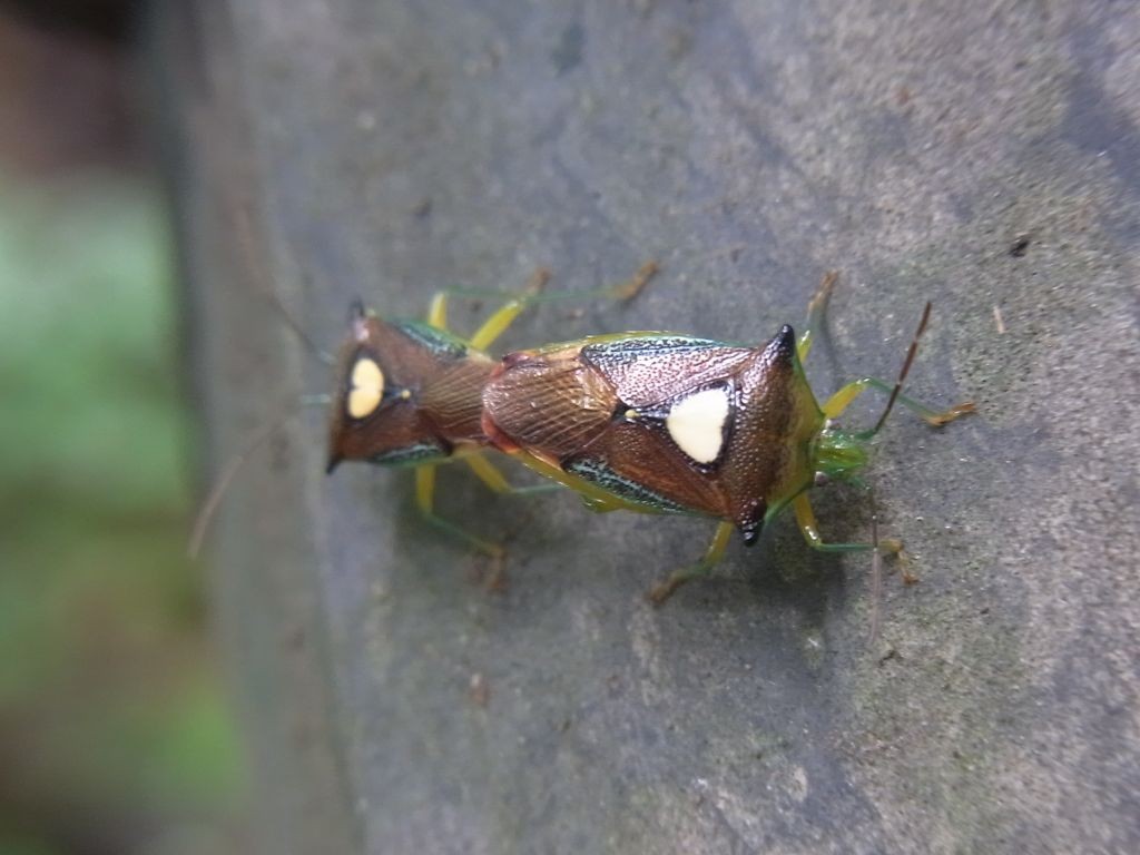 f:id:ita:20110811164254j:image:w512