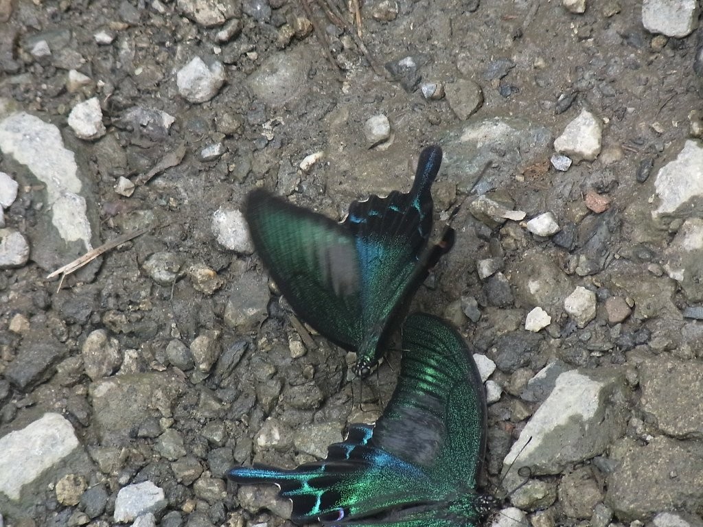 f:id:ita:20110813122430j:image:w512