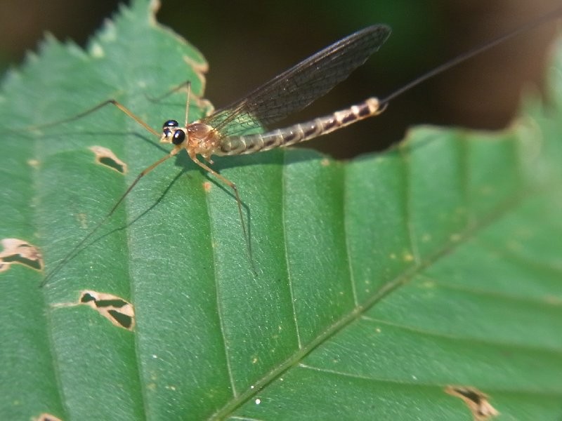 f:id:ita:20110813132241j:image:w512