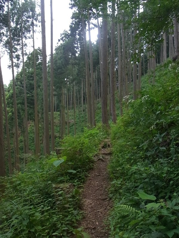 f:id:ita:20110813140423j:image:w512