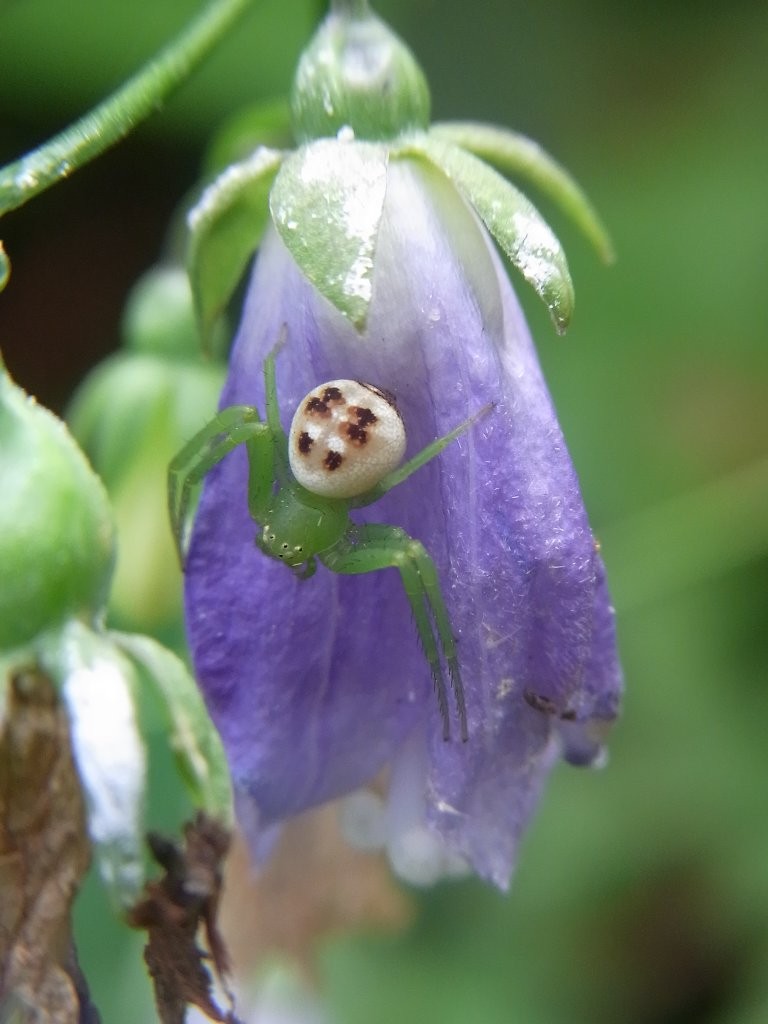 f:id:ita:20110813140738j:image:w512
