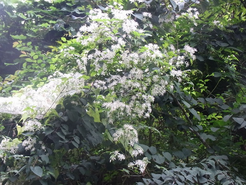 f:id:ita:20110813162528j:image:w512