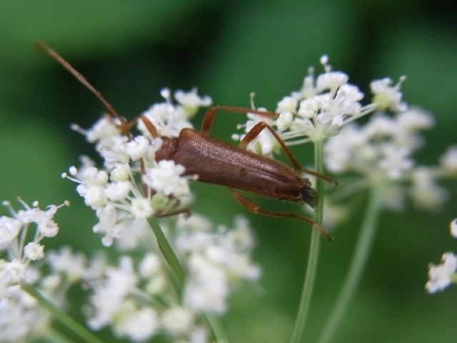 f:id:ita:20110815112737j:image:w512