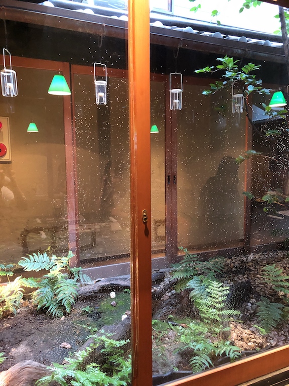 f:id:ita2ita2:20190702101530j:plain