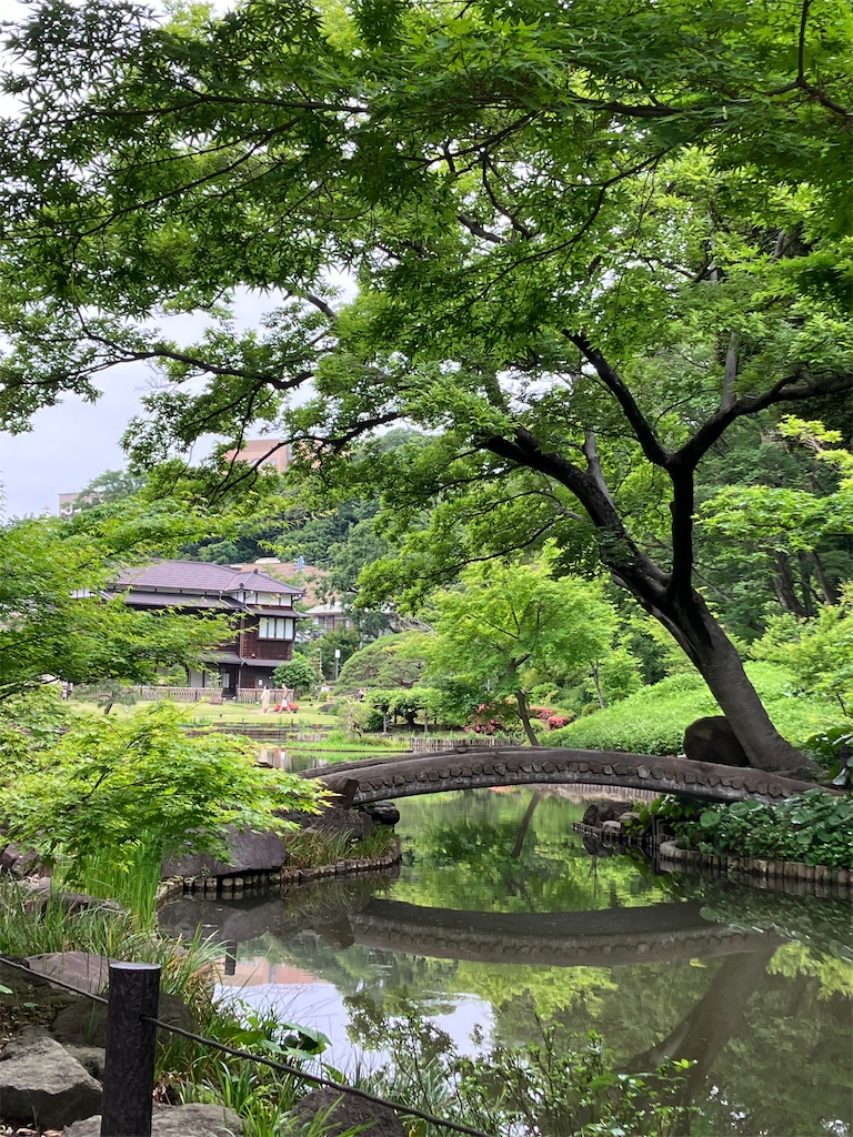 f:id:itabashikaigosyasien:20260707205211j:image f:id:itabashikaigosyasien:20260707205211j:image