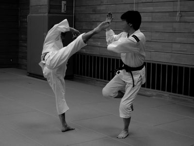 f:id:itabasi_bodaiju:20120617084656j:image